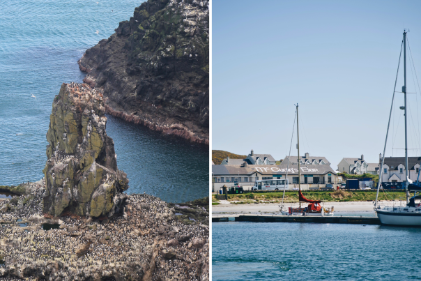 36 Hours on Rathlin Island