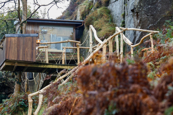 Exterior Shot of Balance Treehouse