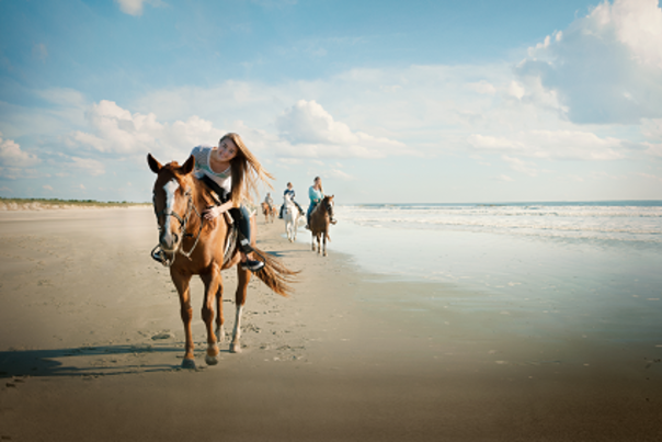 Horses at inlet point taller f lo res 425