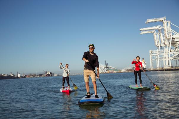 Three People Paddleboarding on the Oakland Estuary
