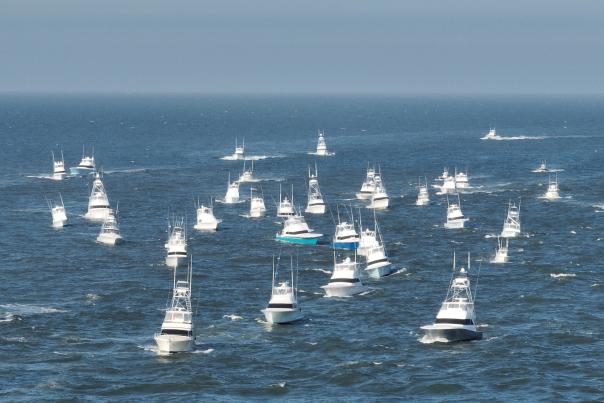 White Marlin Open