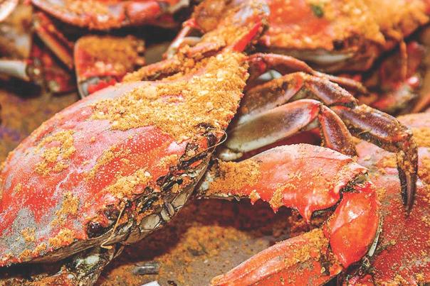 crabs