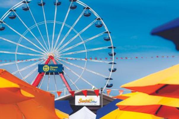 sunfest