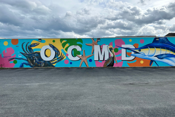 OCMD Mural by Ali Jacobs