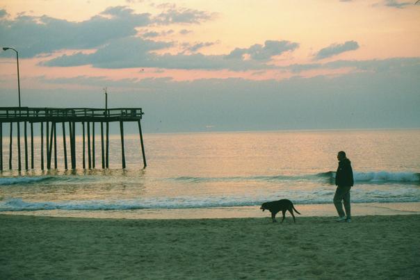 A Serene Beach Walk