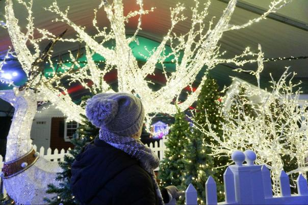 Winterfest of Lights