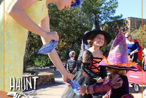 Haunt the Zoo