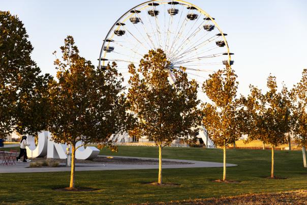 Fall photo at the Ferris Wheel