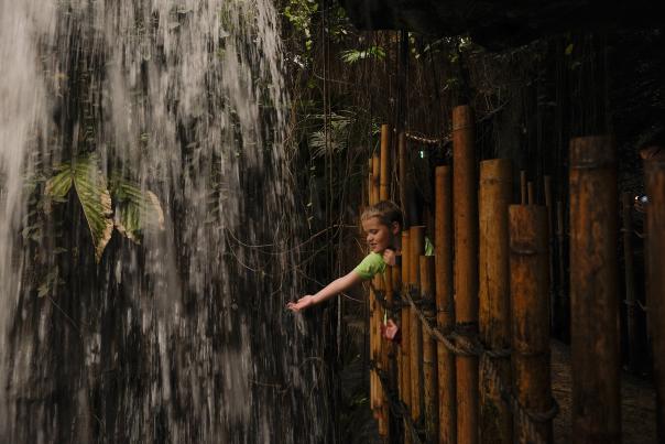 Omaha's Henry Doorly Zoo & Aquarium