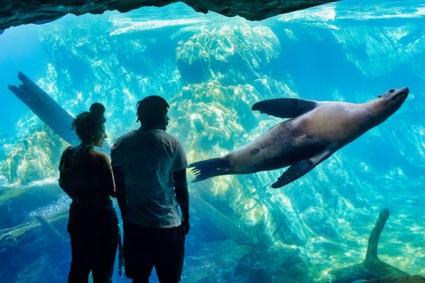 Omaha's Henry Doorly Zoo and Aquarium