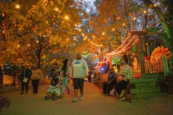 Vala's Pumpkin Patch