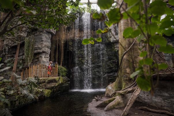 Omaha's Henry Doorly Zoo and Aquarium