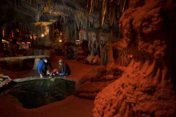 Omaha Zoo - Cave