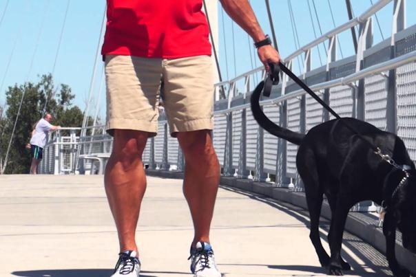 Video Thumbnail - youtube - "Bridges are a Dog's best friend..."