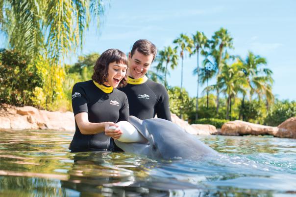 Discovery Cove wedding proposal with dolphin's help