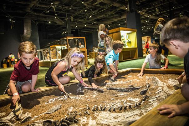 Orlando Science Center Kids at fossil dig
