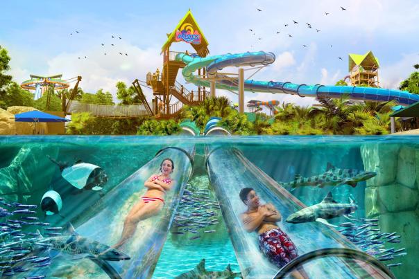 Promotional image for Reef Plunge attraction at Aquatica Orlando for use in the What's New 2022 Blog