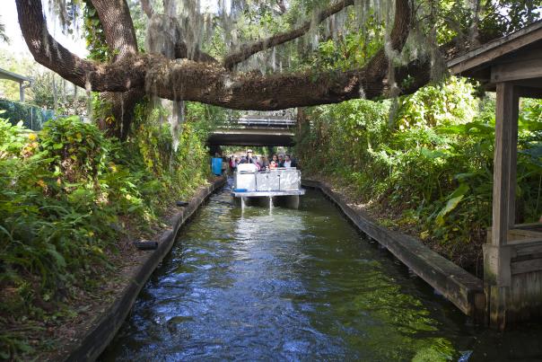 the boat steers through a canal on the Winter Park Scenic Boat Tour