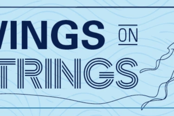 Wings on Strings at EAA Event