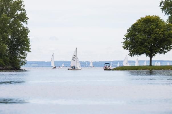 Water Regatta Sailing Boats