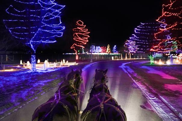 Celebration of Lights Wagon Ride