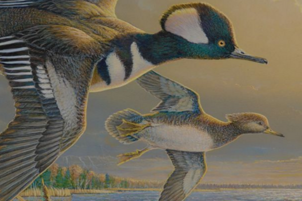 Waterfowl Stamp