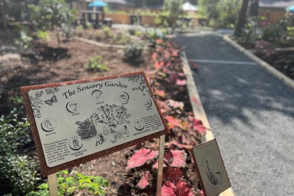 Dare County Tourism Board - Tourism Impact Grants