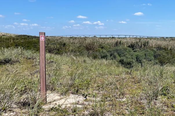Great Outer Banks Hikes