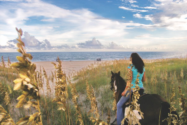 horseback riding beach sea oat