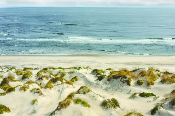 beach sand lifesaving