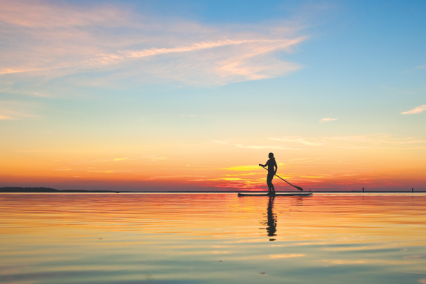 sup paddleboard sunset