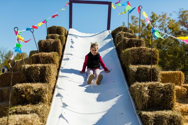 Young girl slides down the hay slide at Deanna Rose Children's Farmstead's Pumpkin Hollow event.