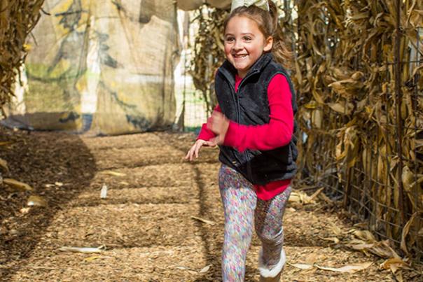 PumpkinHollow-Fall-Events-in-KC-and-Overland-Park