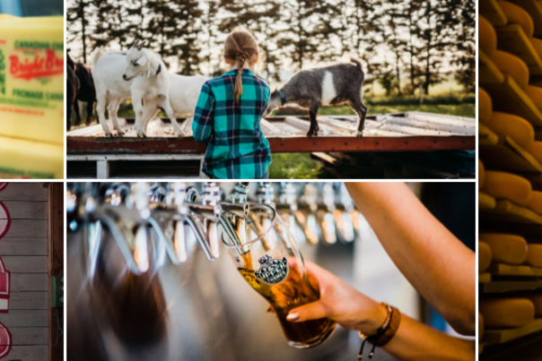 Barns, Brew & Bites