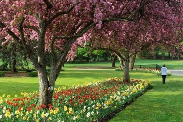 Southside Park