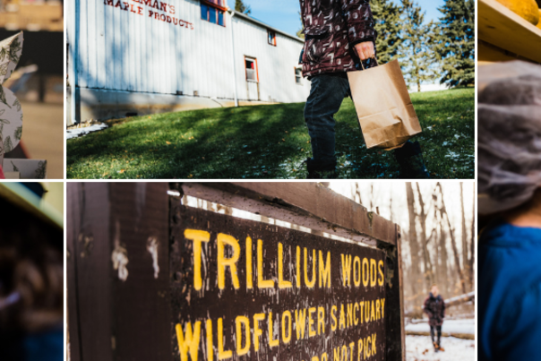 Collage of farmers market booth, person walking toward maple shop, child churning butter, Trillium Woods sign, and visitors guided by cheesemaker in aging room