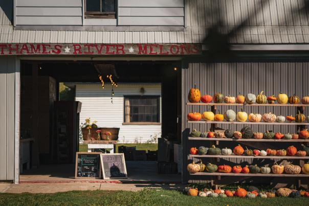 Thames River Melons Pumpkins