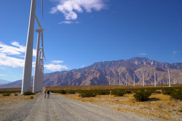 Palm Springs Windmills