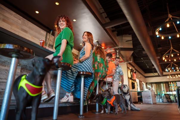 Luchador Brewing Company, Cathedral City