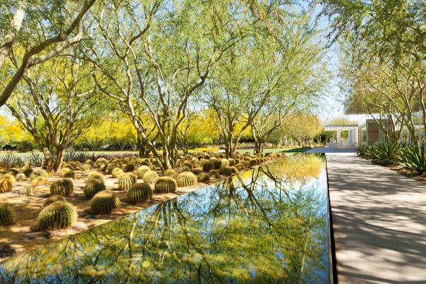 Path Along The Water At Sunnylands Center & Gardens In Greater Palm Springs