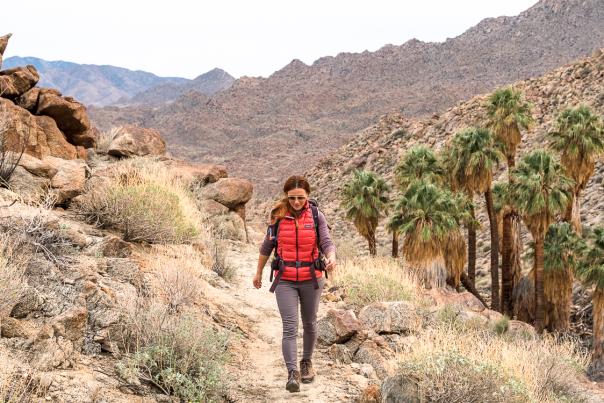 Woman hiking on a trail in Greater Palm Springs with palm trees and mountains.