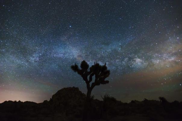 stargazing night sky