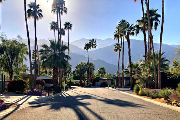 PalmSpringsNeighborhoods