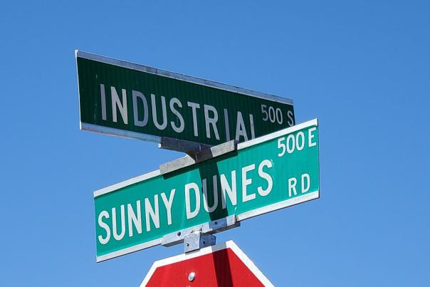 Sunny Dunes