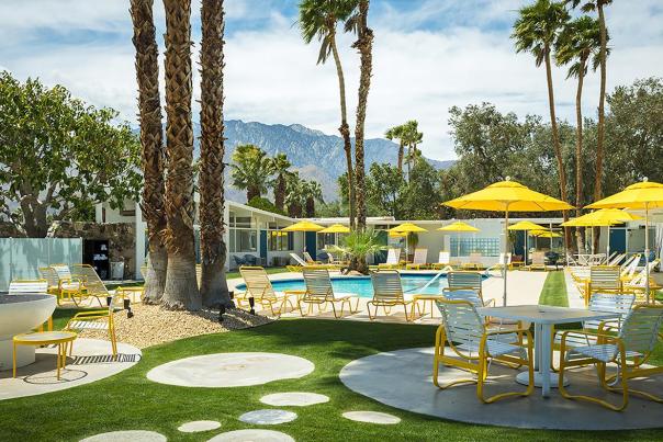 The-Monkey-Tree-Hotel
