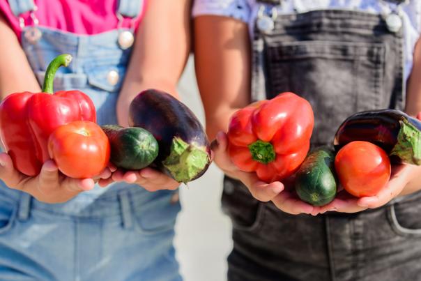 Farmers hold peppers eggplants and cucumbers. Farmer presenting organic homegrown vegetables. Homegrown organic harvest benefits. Healthy lifestyle. Grow organic crops. Community gardens and farms