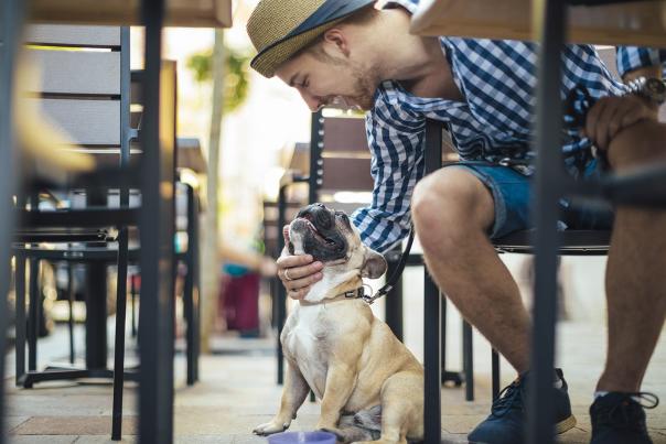 Young man in the city with his french bulldog
