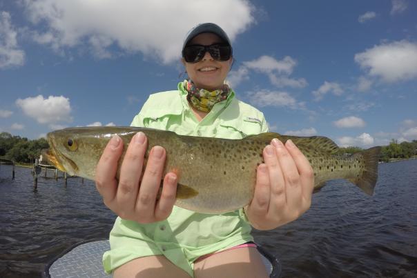 Speckled Trout