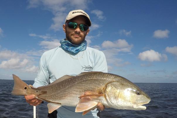 Redfish