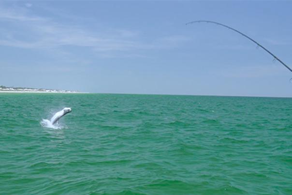 Mid July Fishing Report